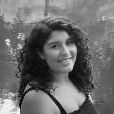 MAIP 2020 VEP Fellows