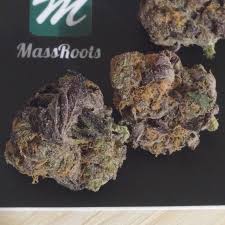 99 cookies from fleur d'elite is a hybrid. Wedding Cake Pink Cookies Cannabis Strain Report
