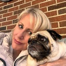 My little Cobra just got his new wheels❤️ senior life🐾🐾