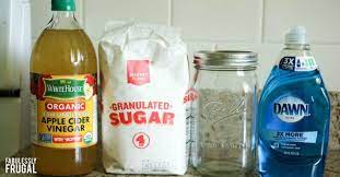 Easy Do It Yourself Diy Homemade Fly Trap Recipe Diy Fly Trap Homemade Fly Traps Fly Traps