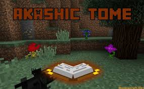 Find the minecraft morph mod for 1.16.5 java edition, including hundreds of ways to cook meals to eat. Akashic Tome Mod 1 16 5 Wminecraft Net