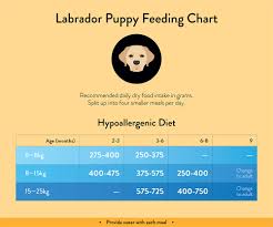 Labrador Feeding Guide With Chart Lovejoys Lovejoys