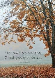 The Leaves Are Changing I Feel Poetry In The Air Autumn Quotes Best Season Autumn Inspiration