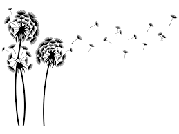 2.107 kostenlose bilder zum thema pusteblumen. Wandtattoo Pusteblumen Landschaft Von Klebeheld De
