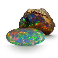Image result for Opal