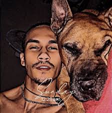 Dealt with it till now, Logitech shifter pops out of third and most of the  time doesnt even go into third. The shifter is also very twitchy as the  slightest touch will