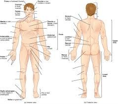 Check spelling or type a new query. 1 2 Pre Lab 1 Medicine Libretexts