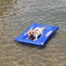 Sie suchen den günstigsten flug? Best Kayak Dog Tow Top 8 Picks 2021 We Love Doodles