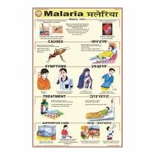 Malaria Diseases Charts View Specifications Details Of