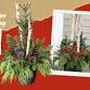 Holiday Container Workshop – Frisco Location event image