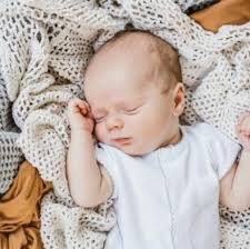 HIES Torchbearer Summer 2023 by Holy Innocents' Episcopal School, The  Torchbearer