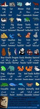 Pin By Brooke Yara Inspo For High On Language Learning Learning Arabic Learn Arabic Alphabet Learn Arabic Language