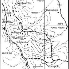 Image result for Megalochlamys hamata