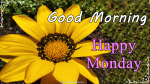 Feel free to download, share, comment and discuss every wallpaper you like. Good Morning Happy Monday