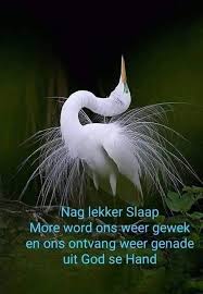 Pin By Josa Vd On Lekker Slaap Goeie Nag Afrikaans Quotes More Words