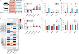 Sam ah chookoon, also known as mr. Methyl Metabolite Depletion Elicits Adaptive Responses To Support Heterochromatin Stability And Epigenetic Persistence Biorxiv