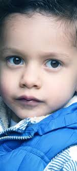 Manual de los 100 Días