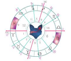 Introduzione Ai Segni Intercettati La Stanza Segreta Irene Zanier Oroscopodelmese It