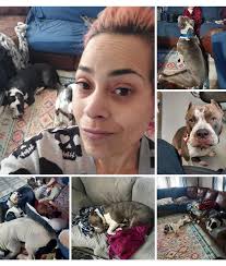 Veterinarians in Rockford