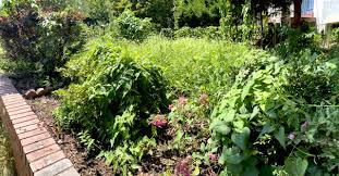 Homeadvisor's pest control cost guide gives average prices to hire a bug exterminator. When Garden Pests Come Indoors Hillrag