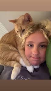 Lost cat near Emporia and Topeka turnpike