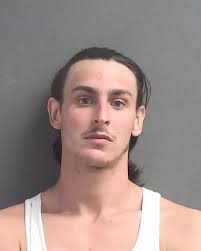25-year-old DYLAN WEBB from DAYTONA BEACH was booked