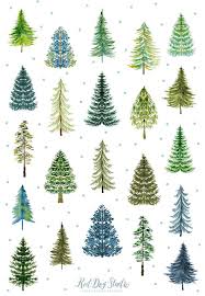 Watercolor Pine Tree Forest Clipart Watercolor Tree Clipart Hand Painted Forest Clip Art In 2020 Pine Tree Drawing Watercolor Trees Tree Drawing