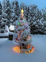 Will We Get Snow This Christmas 2022 Snow Photos: See How Much Snow Is Falling On Jan. 7, 2022 – Nbc Connecticut