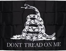 Kkk has for many years waved the rebel flag, so i would never have that symbol in my home, because i do not want to be associated with the kkk. Don T Tread On Me Black Tactical Flags Ultimate Flags