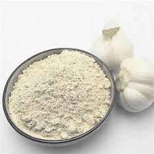 Garlic Extract Powder - Product Type: Organic Product at Best Price in  Dewas | Suhani Agro Industries