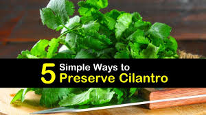 Check spelling or type a new query. 5 Simple Ways To Preserve Cilantro