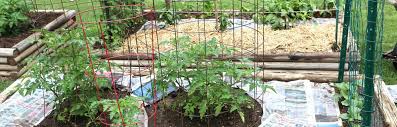Can you use roundup on vegetable garden. 7 Ways To Get Rid Of Weeds Without Roundup Or Herbicides Insteading