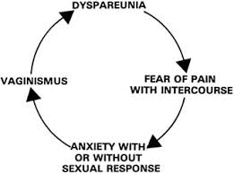 Image result for vaginismus
