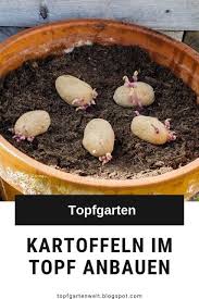 Blogger Garten Anpflanzen Gemuse Anpflanzen Garten Bepflanzen