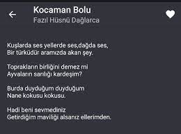 Sevval Adli Kullanicinin Siirler Panosundaki Pin Siir Nane Yelken