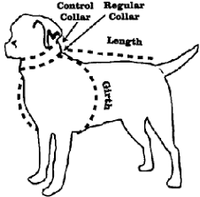 dog clothing size chart at orvis