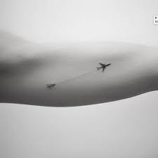 Tiny Airplane Discreet Tattoos Airplane Tattoos Girl Tattoos