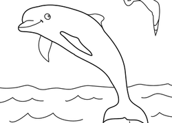 This post may contain affiliate links. Dolphin Coloring Pages Printables Education Com