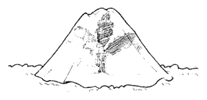 We did not find results for: Solutions For Squash Vine Borer