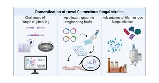 Considerations for Domestication of Novel Strains of Filamentous Fungi