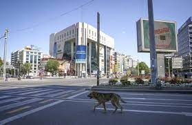 İl genelinde nüfus yoğunluğu 215'tir. New Coronavirus Restrictions Imposed In Turkish Capital Ankara Daily Sabah