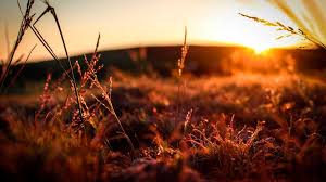 Doa pengakuan dosa kristen protestan 2. Doa Pengampunan Dosa Belajar Mengenal Pribadi Yesus