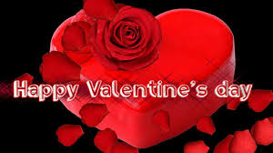 So, with that out of the way, it doesn't mean that the 14th is the only day of the year that you can use flowers to express your undying love. Happy Valentine S Day Beautiful Flowers For You Youtube