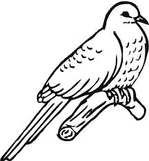 Easy Koyal Bird Drawing For Kids Great Lizard Cuckoo Bird Coloring Pages Coloring Sky Bird Coloring Pages Coloring Pages Bird Line Drawing