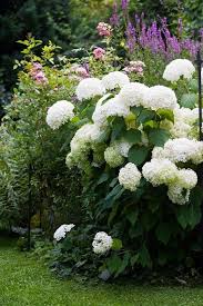 Fehler Beim Schneiden Von Hortensien Vermeiden Fehler Beim Schneiden Von Hortensien Vermeiden Beim Clema In 2020 Peony Bouquet Wedding Balcony Garden Hydrangea