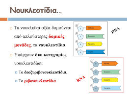 Η αέρια (υδρατμοί) και η υγρή. Biologia G Gymnasioy 3o Gymnasio Naypaktoy A Dribas Ppt Katebasma