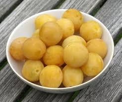 Two winters ago, 13 varieties of pears were planted. Mirabelle De Nancy Cherry Plum Fruit Trees For Sale Order Online