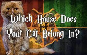 Which Harry Potter House Does Your Cat Belong In Harry Potter Houses Harry Potter Cat Harry Potter Quiz