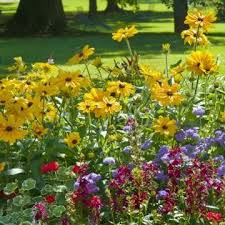 Die Besten Dauerbluher Fur Endlos Schone Staudenbeete Best Perennials Flowers Perennials Perennials
