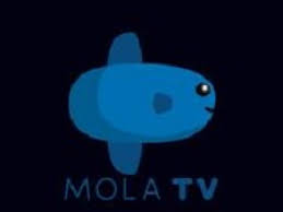 Fastest growing entertainment network in indonesia. Mola Tv Apk V1 8 0 Free Download For Android Offlinemodapk